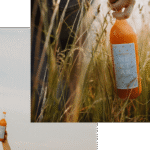 Marillen Familie Weiss Marillennektar