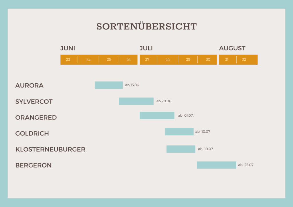 Marillen Familie Weiss Sortenübersicht